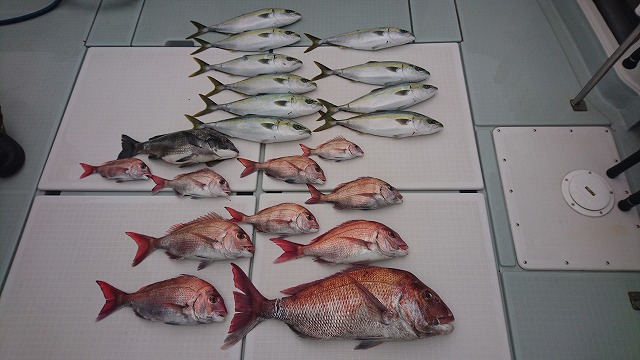 和歌山・タイラバ釣行記