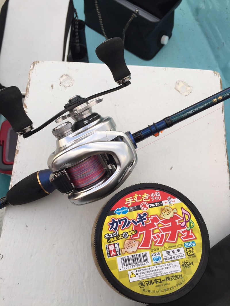 「カワハギ釣りたーい」in徳島