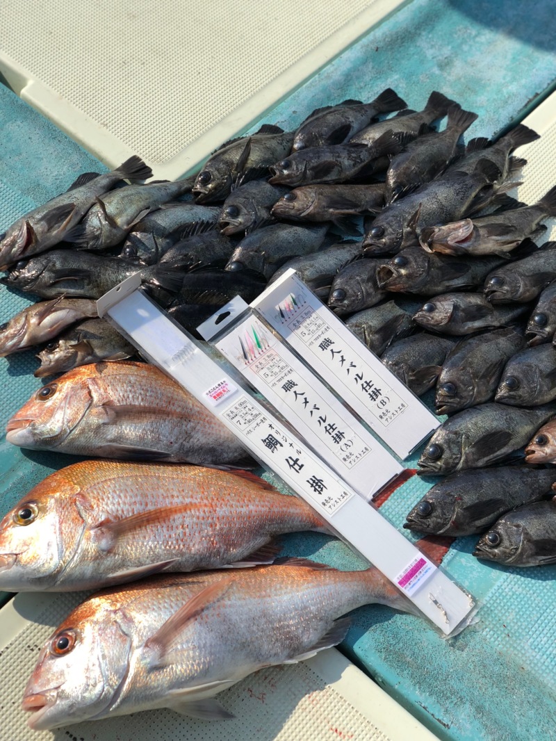 鳴門でメバルサビキ