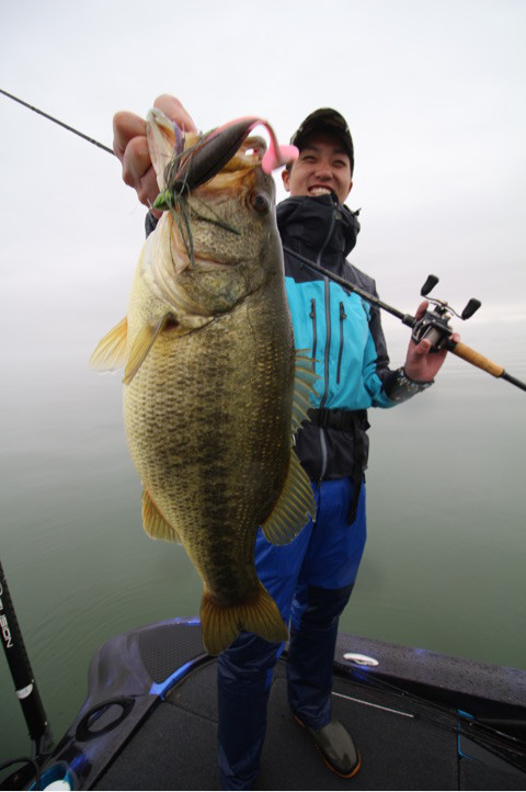 シーズンインの琵琶湖へ