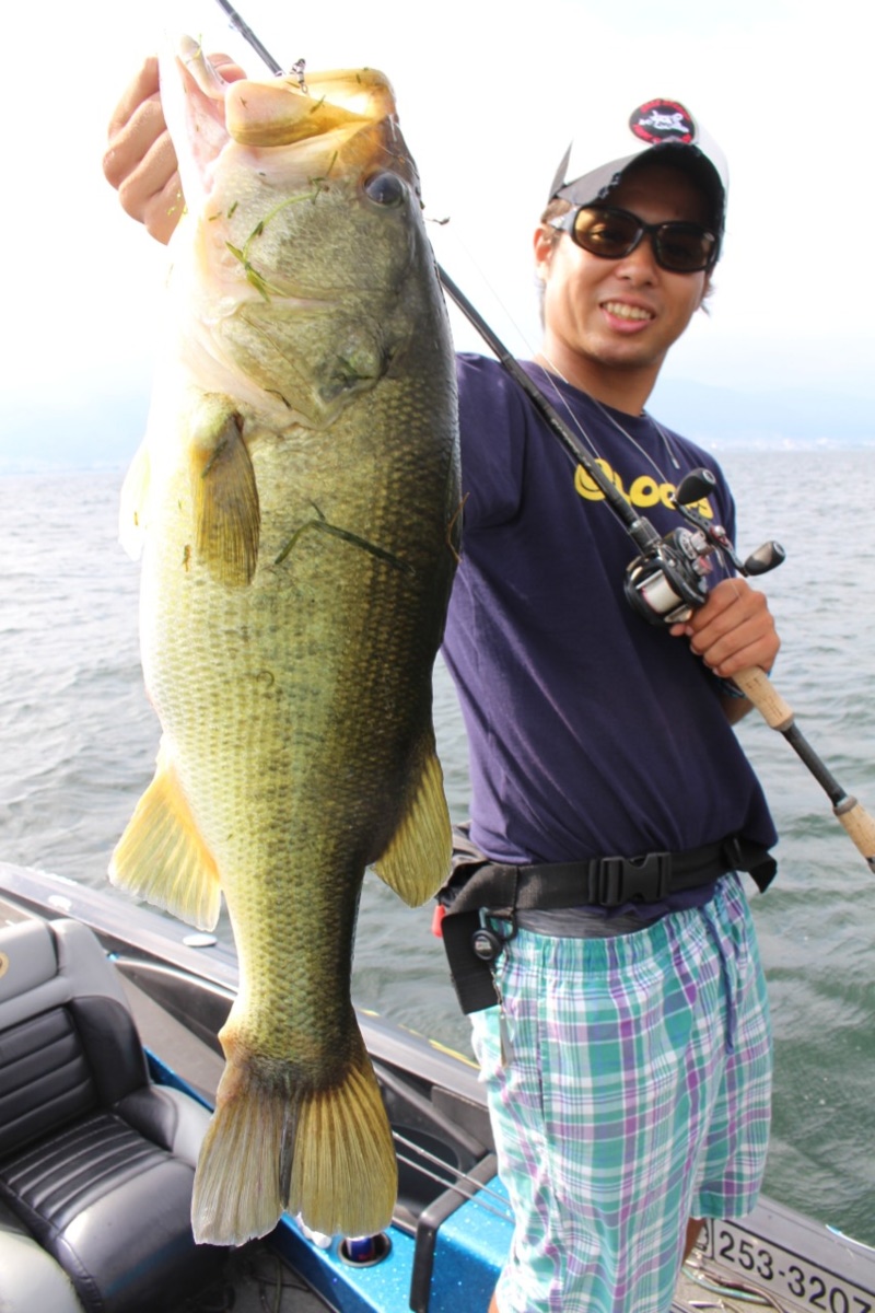 「琵琶湖南湖」パンチショットリグ|ブラックバス10匹以上釣果