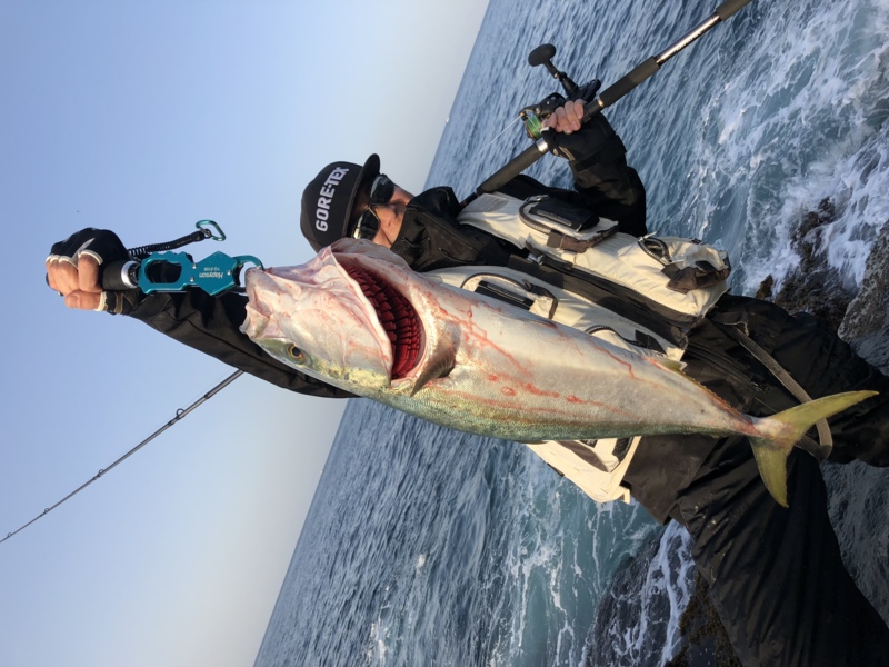 和歌山県南紀 ショアメジロ