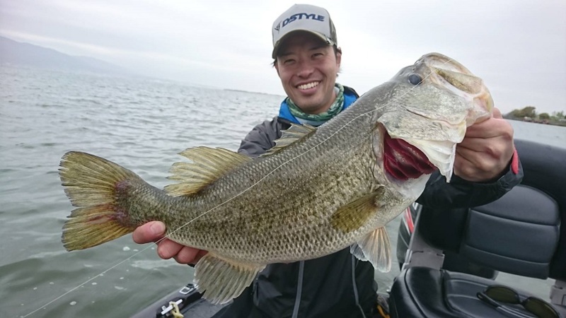 琵琶湖ブラックバス