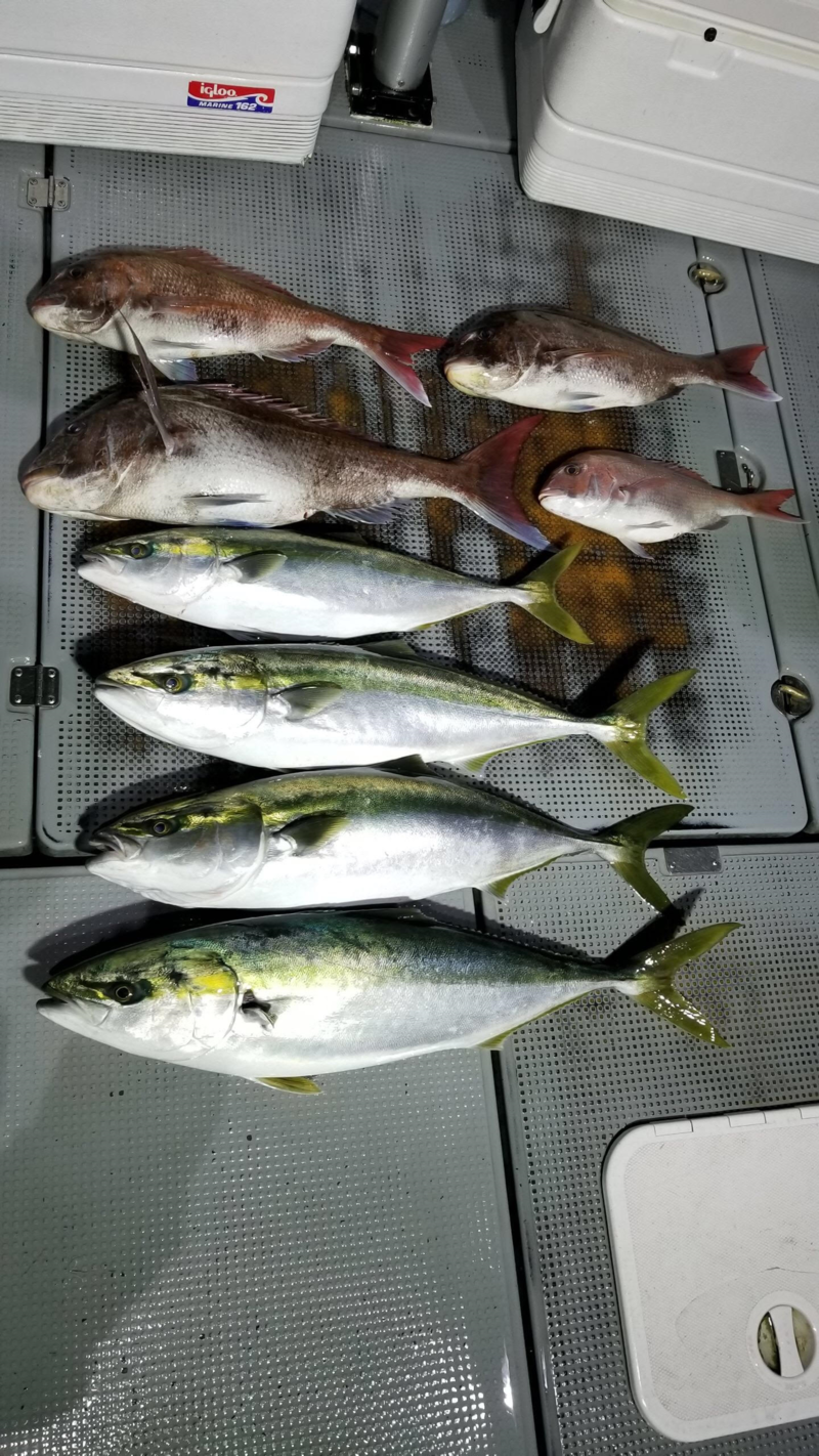 ラグゼスタッフと丹後のディープタイラバ