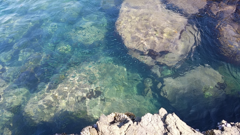 和歌山 ヒラスズキ釣り