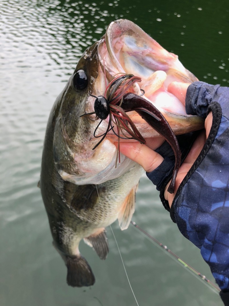 岡山リザーバー釣行