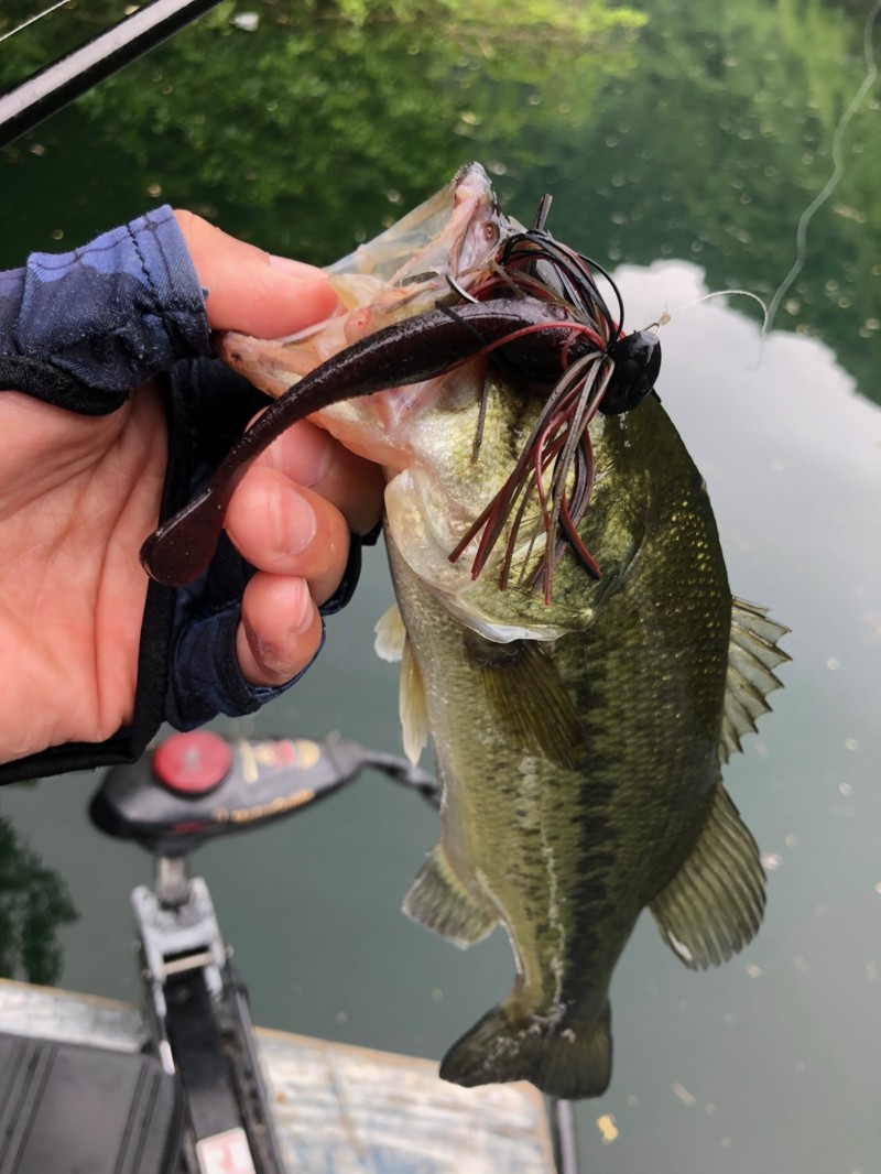 岡山リザーバー釣行