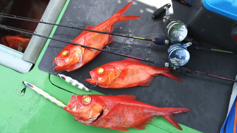 室戸沖キンメジギング