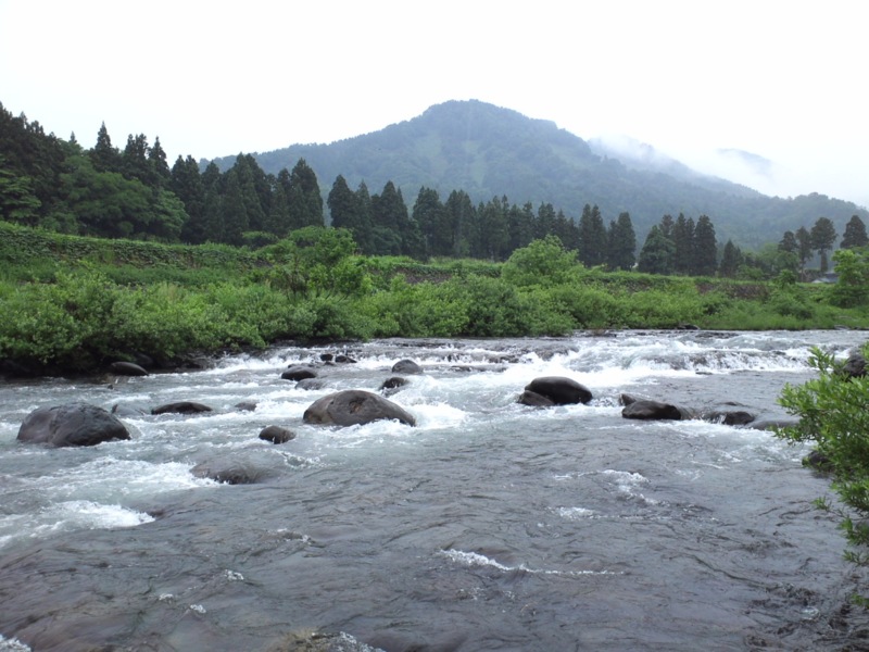 幻を求めて九頭竜川釣行