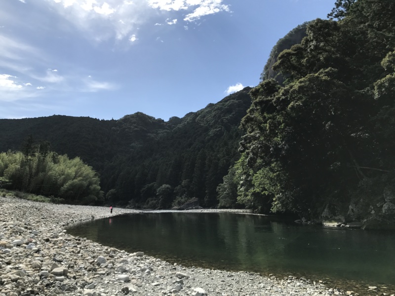 古座川鮎釣行