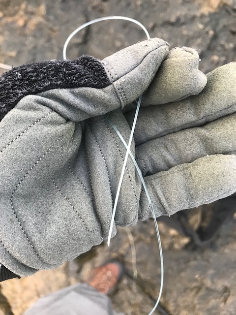 奄美ロックショアGT