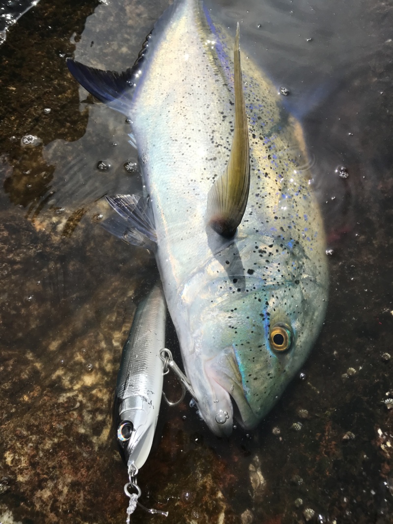 奄美ロックショアGT