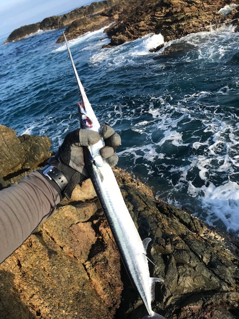 奄美ロックショアGT