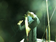 今シーズン初 イカメタル釣行!!