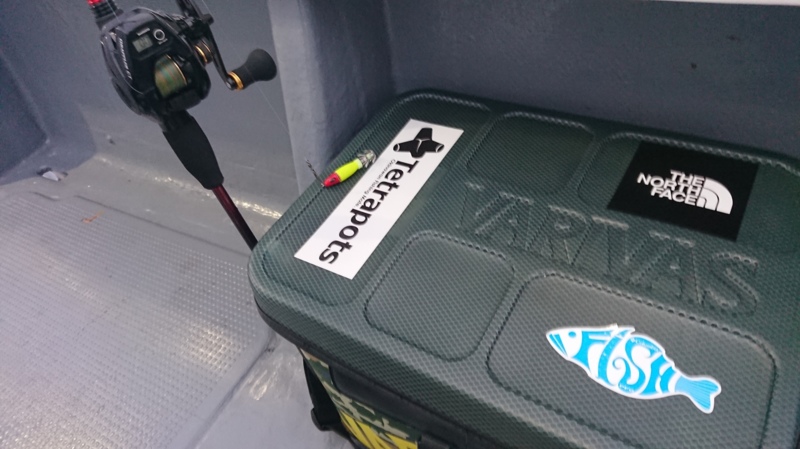 和歌山県 イカメタル