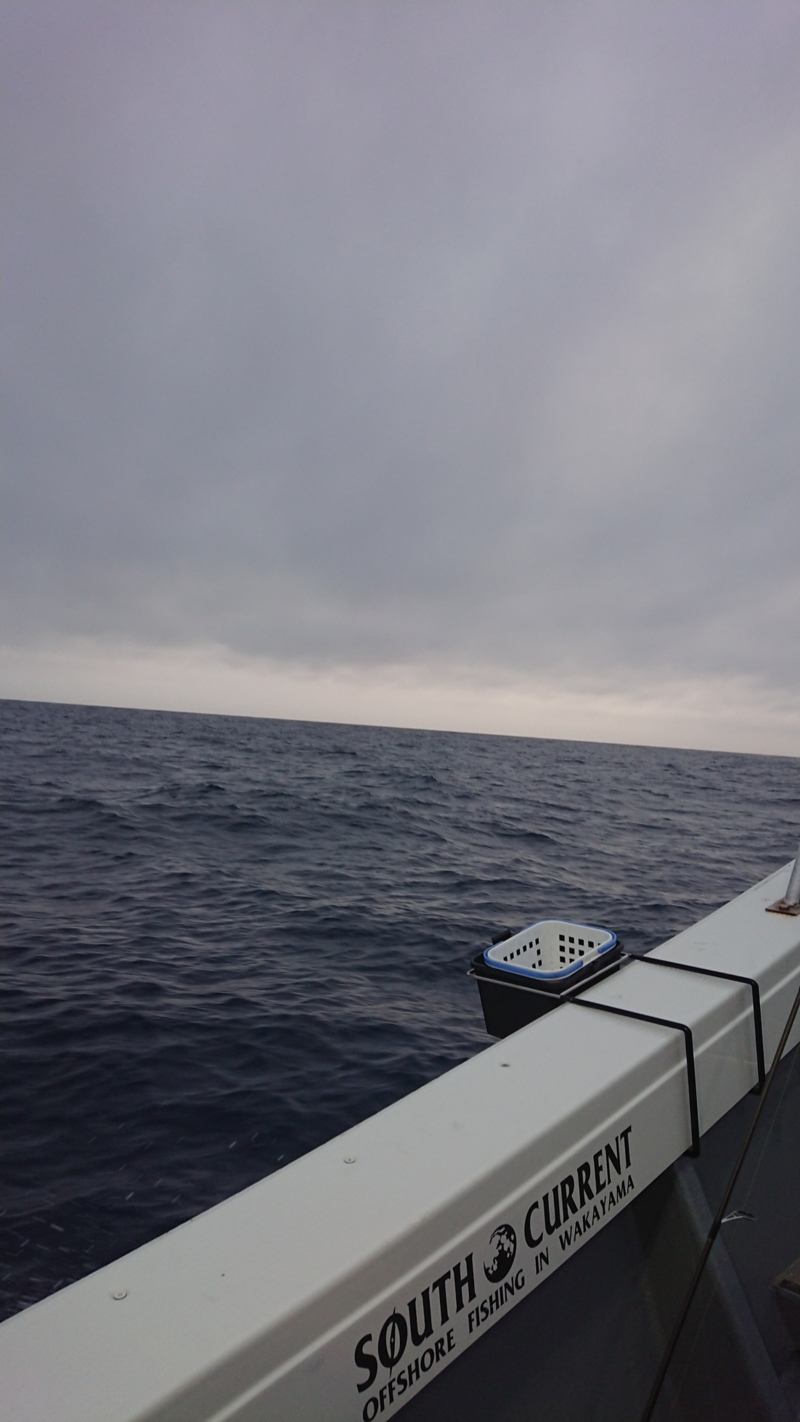 和歌山県 イカメタル