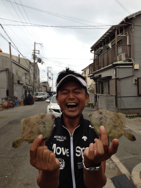 「兵庫県明石市」船でカワハギ釣果/シーズン到来!