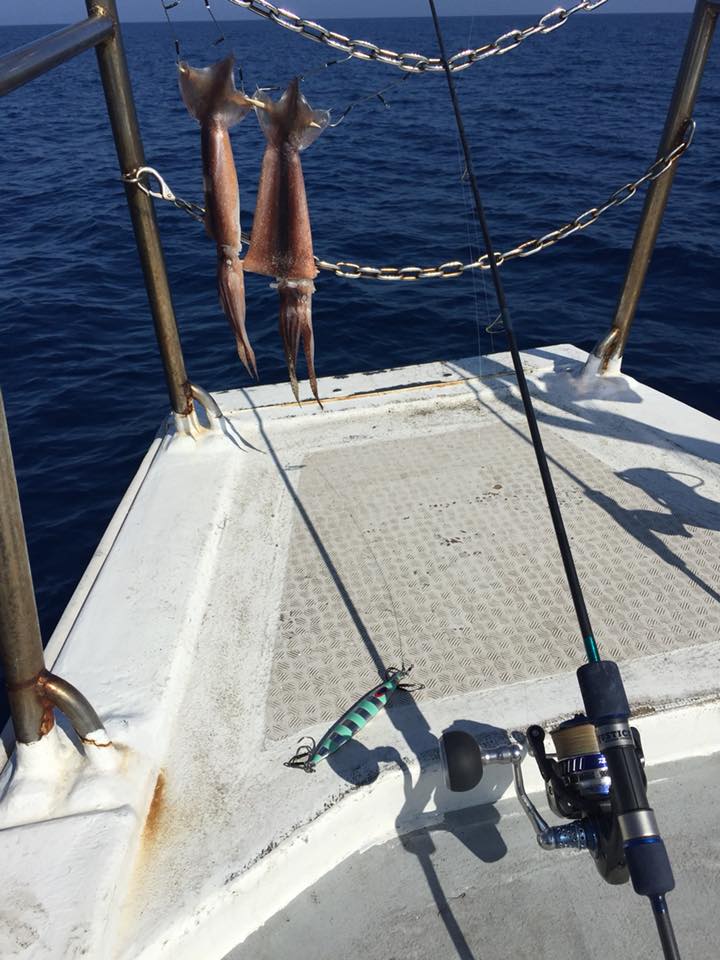 輪島 アラジギング