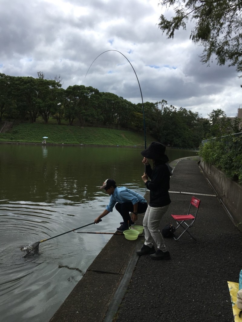 千里南公園 鯉釣り