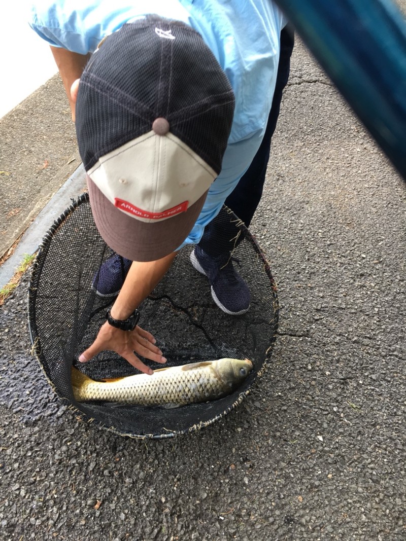 千里南公園 鯉釣り