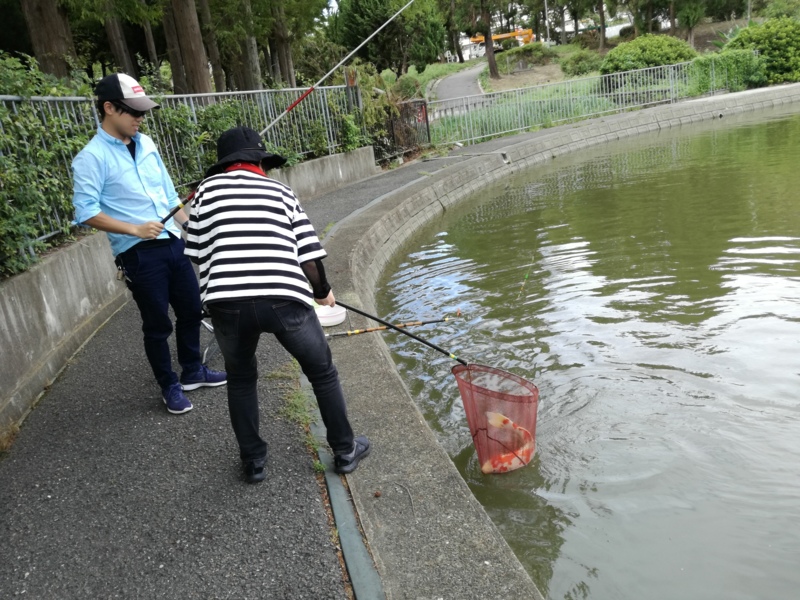 千里南公園 鯉釣り