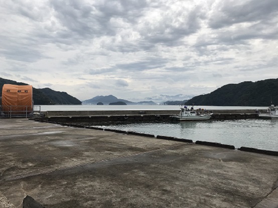 エギング 1 京都