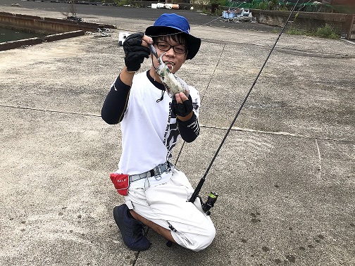 エギング 1 京都