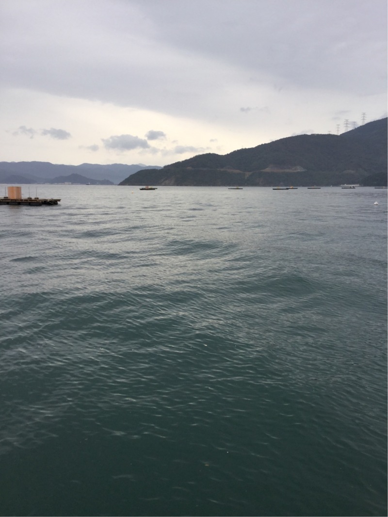 アオリイカ・アコウ筏編