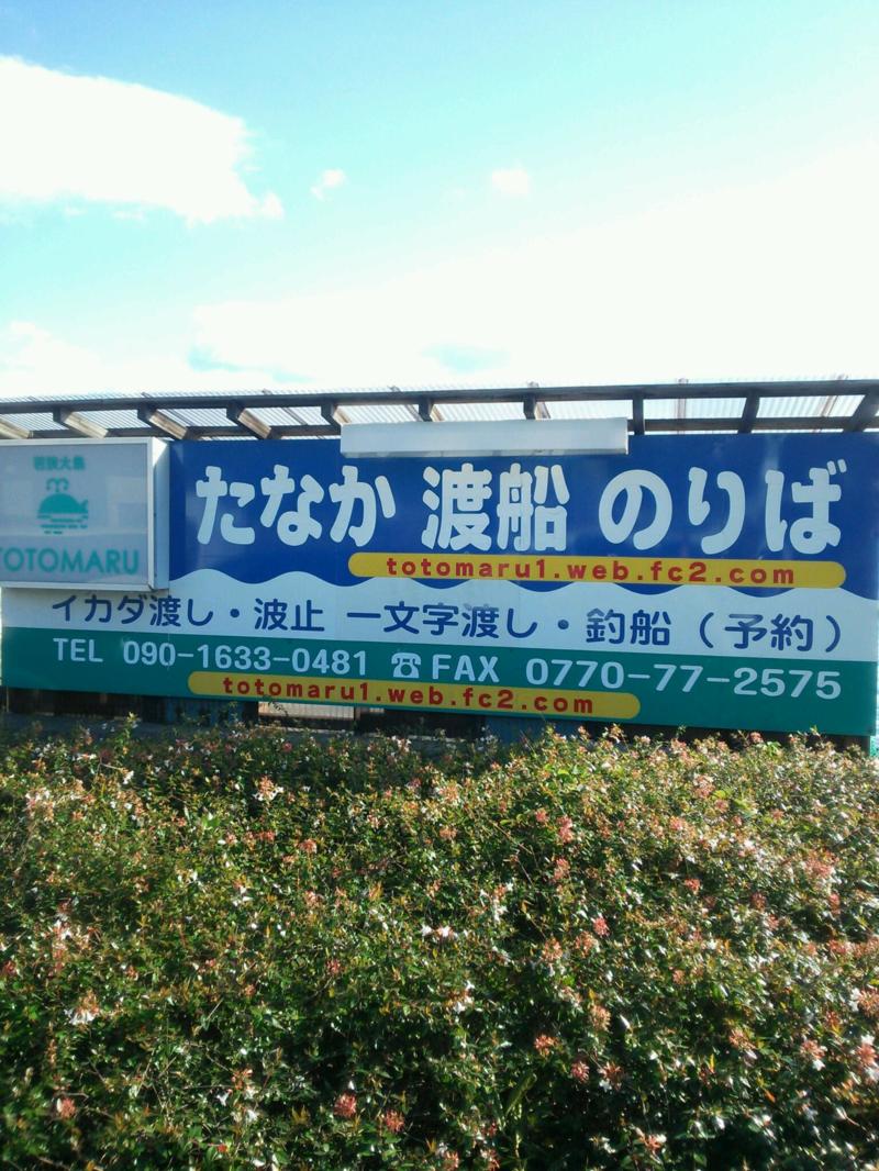 アオリイカ・アコウ筏編