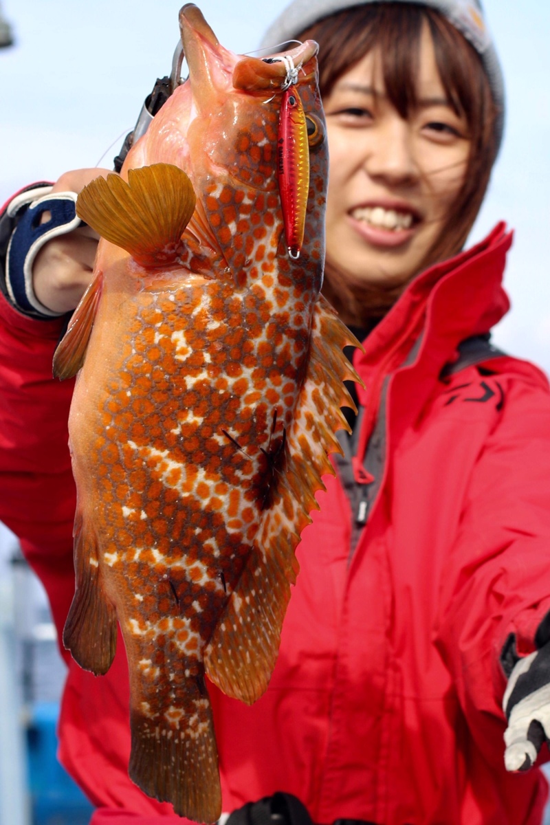 隠岐の島へ!ヒラマキャスティング!