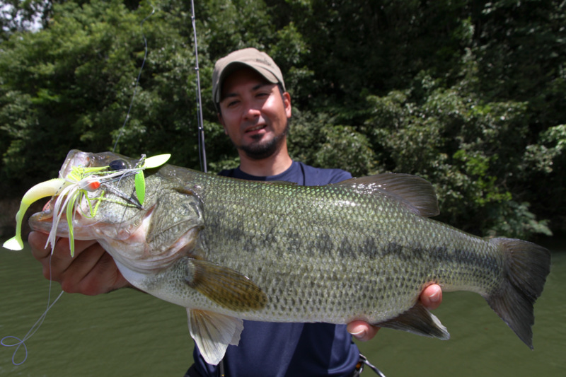 モリックスジャパン展示即売会