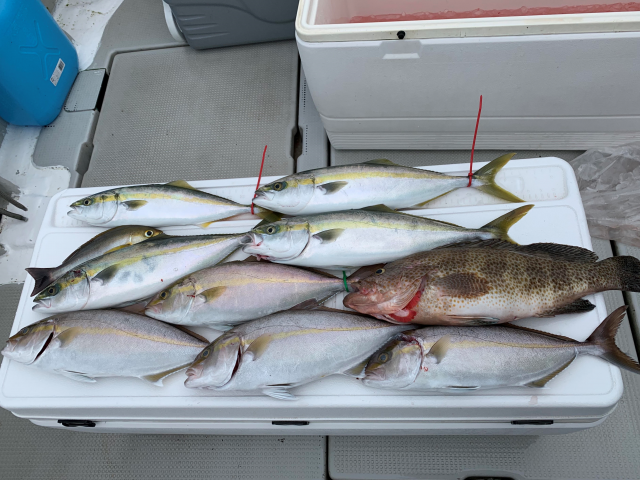 和歌山 オーシャンキッズさんにてジギング