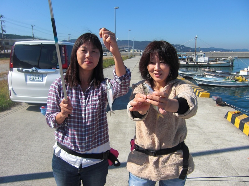 由良・新川口漁港|波止釣り/アジ・メバル・グレ・サバ・イワシ