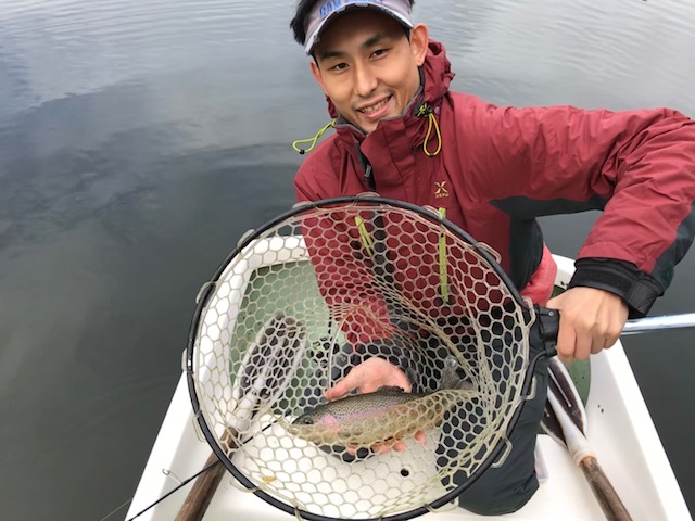 のんびりトラウト