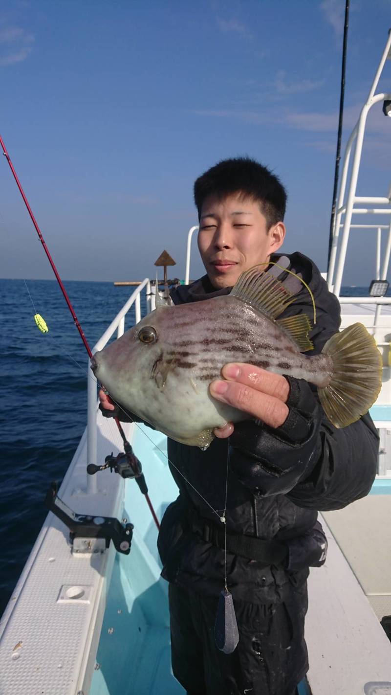 【徳島県阿南市 】カワハギ釣行 5月いっぱいまで楽しめます