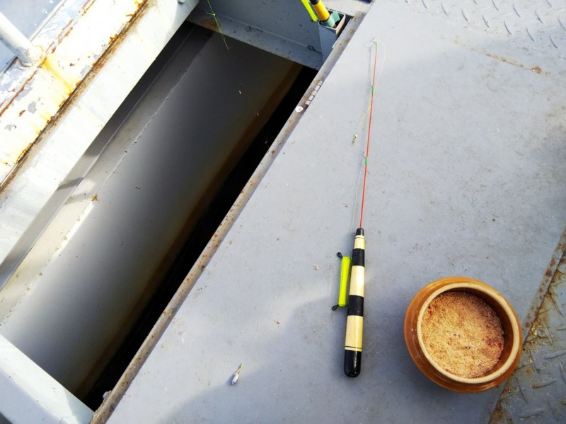 長野県諏訪湖でワカサギ釣り!50匹程の釣果