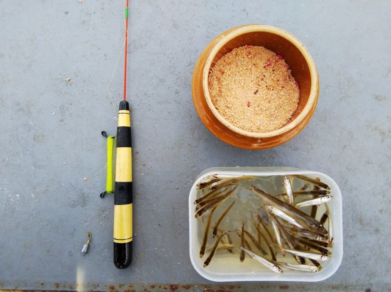 長野県諏訪湖でワカサギ釣り!50匹程の釣果