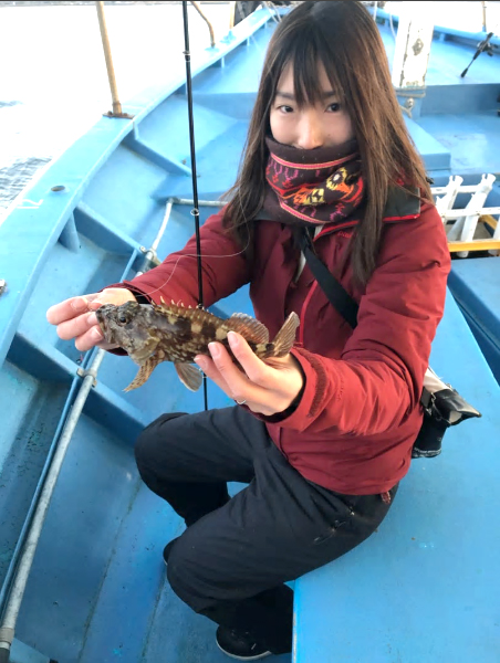 神戸沖でガシラを釣る!マナティ38で一人10以上の釣果!