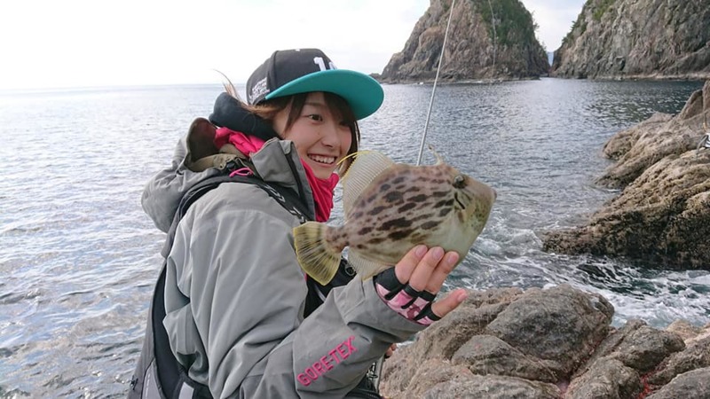 三重県贄浦へ磯ふかせ/磯カワハギ