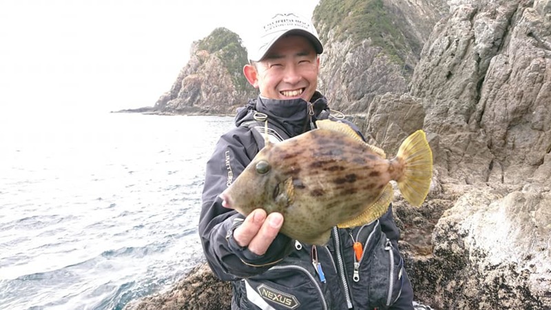 三重県贄浦へ磯ふかせ/磯カワハギ