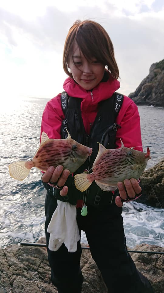 三重県贄浦へ磯ふかせ/磯カワハギ