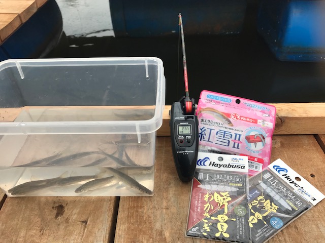 兵庫県川辺郡 天神釣池でホンモロコ釣り