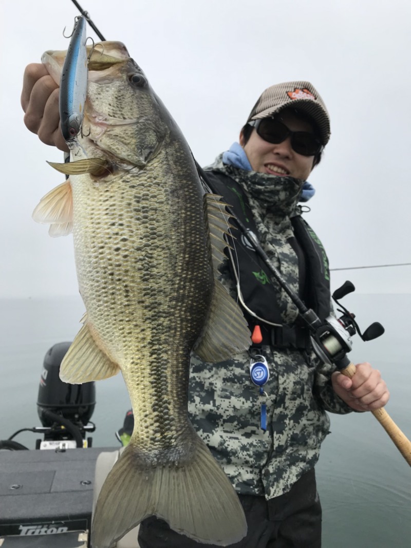 琵琶湖で早春のバスフィッシング釣果