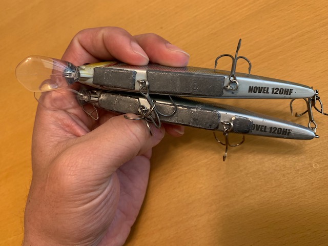 琵琶湖で早春のバスフィッシング釣果