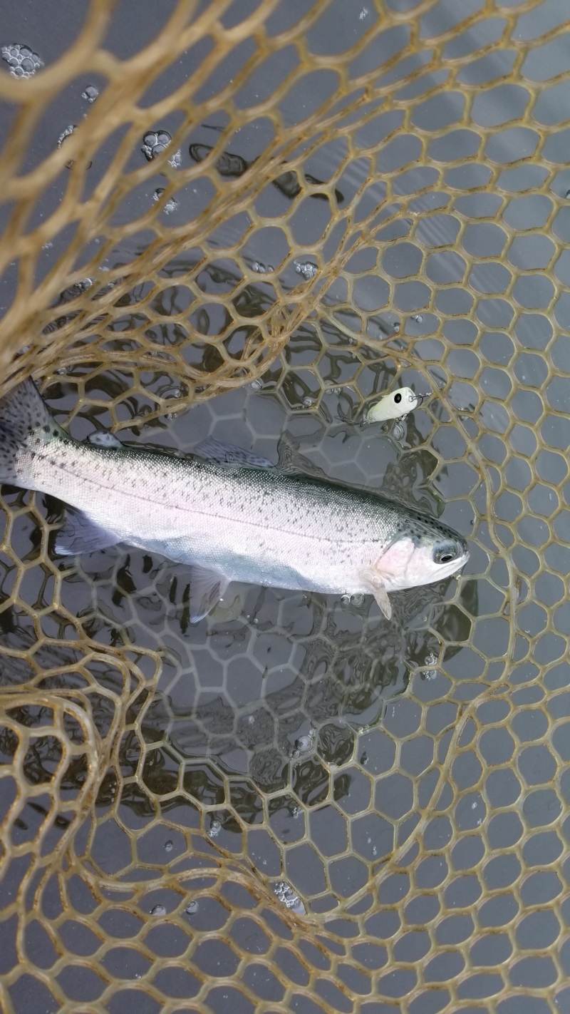 【滋賀県】アクア.ヘヴン でニジマス釣り