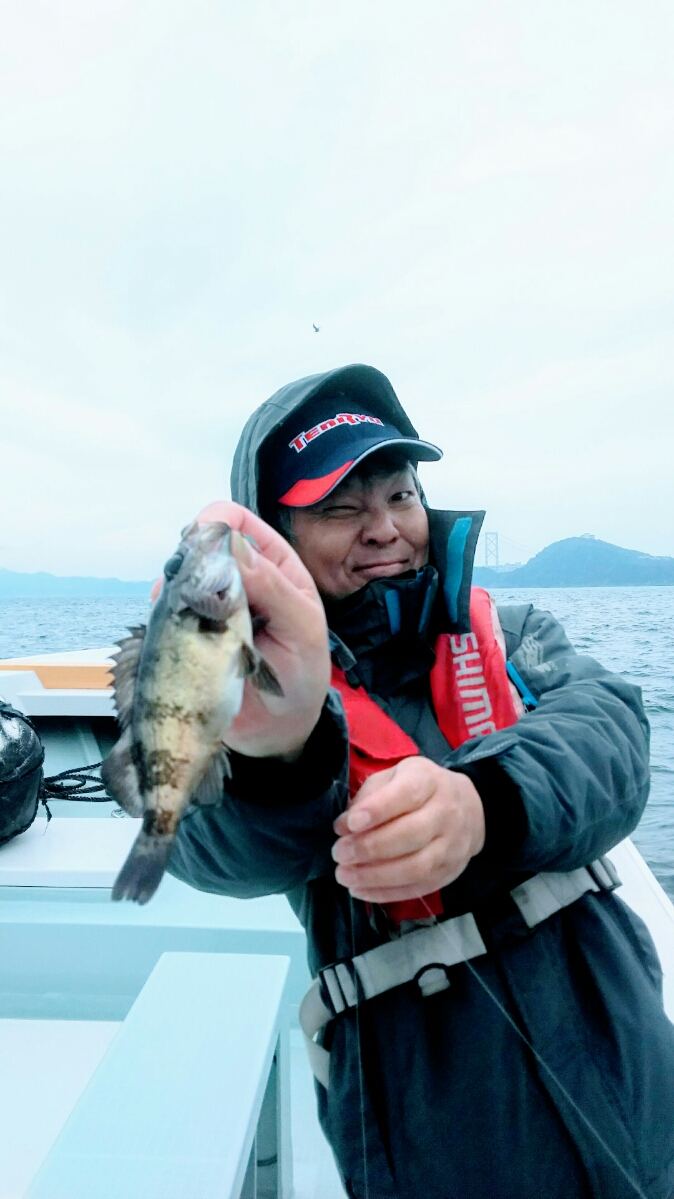 釣り船 Ryoさんで船サビキ釣り│メバル釣果
