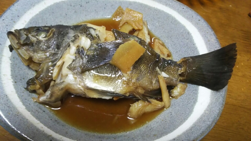 釣り船 Ryoさんで船サビキ釣り│メバル釣果