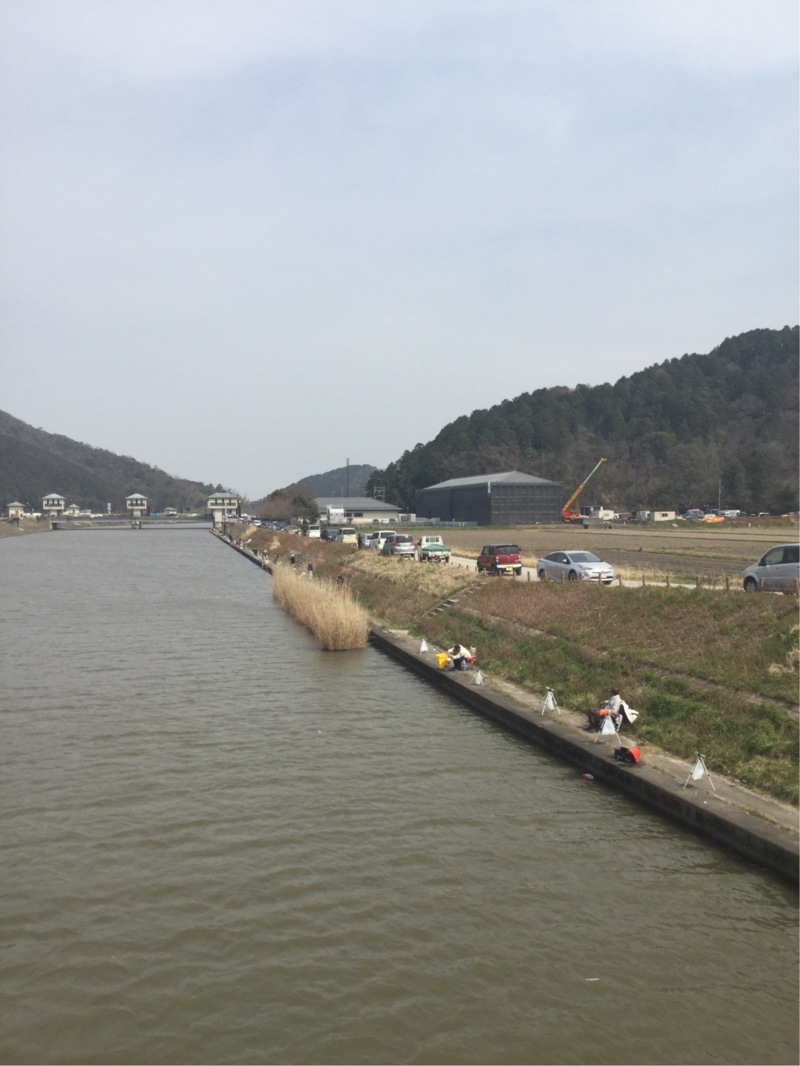 【近江八幡長命寺川大同川】本モロコ釣果