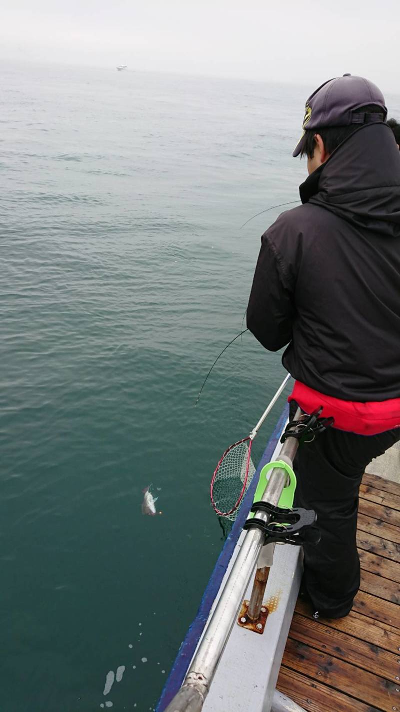 【明石】船虎之介さんでタイラバ釣果