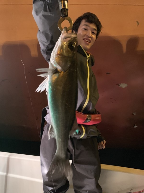 大正「FUJIYAMA」でボートシーバス釣果